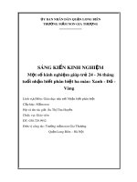 Xanh - Đỏ - Vàng