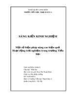 Một số biện pháp nâng cao hiệu quả các hoạt động trải nghiệm trong trường Tiểu học