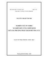nghiên cứu in vitro sự khít kín vùng chóp răng giữa ba phương pháp trám bít ống tủy 