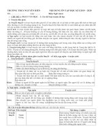 De cuong on tap Ngu van 6