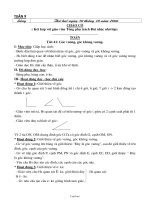 Giáo án 2 buổi Lớp 3 - Tuần 9 - Năm học 2006-2007