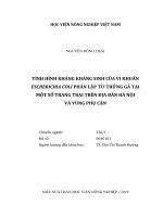 Tình hình kháng kháng sinh của vi khuẩn escherichia coli phân lập từ trứng gà tại một số trang trại trên địa bàn hà nội và vùng phụ cận   