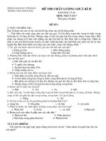 Giáo án Toán Lớp 3 - Tuần 29 - Năm học 2004-2005 - Trường Tiểu học Hanh Thông