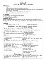 Giáo án Tin học 7 tuần 19 tiết 37-38: Định dạng trang tính