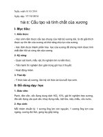 Bài 8. Cấu tạo và tính chất của xương
