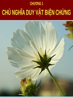 CHỦ NGHĨA DUY vật biện CHỨNG (NLCBCN mác LÊNIN SLIDE) 
