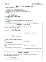 Giáo án Tin học lớp 4 tuần 23: Cỡ chữ và phông chữ