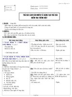 Giáo án Ngữ văn 6 tiết 132: Trả bài làm văn miêu tả sáng tạo, trả bài kiểm tra tiếng việt