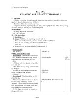 Giáo án Đạo đức Lớp 3 - Tuần 30 - Chăm sóc vật nuôi, cây trồng (Tiết 2)