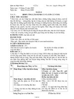 Giáo án Ngữ văn Lớp 6 - Tiết 35: Ông lão đánh cá và con cá vàng - Năm học 2009-2010 - Nguyễn Phương Bắc