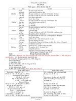 Giáo án Lớp 3 Tuần 35 - Trường TH số 2 Hoà Bình 2