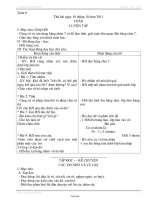 Giáo án Lớp 3 Tuần 8 - Trường Tiểu học Phục Hoà