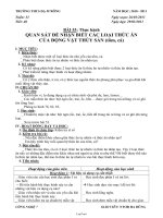 Giáo án Công nghệ 7 tuần 31: Thực hành quan sát để nhận biết các loại thức ăn của động vật thủy sản (tôm, cá)