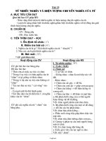 Giáo án Ngữ văn 6 - Tiết 19: Từ nhiều nghĩa và hiện tượng chuyển nghĩa của từ - Năm học 2009-2010