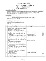 Giáo án Mĩ thuật Lớp 3 - Tuần 31 - Bài: Các con vật