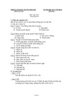 Đề thi học kì 1 năm học môn: Ngữ văn 6