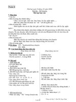 Giáo án Tiếng Việt Lớp 3 - Tuần 6 - Năm học 2006-2007 - Kim Thị Ngọc Diệp