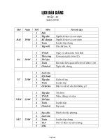 Giáo án môn học Hình học lớp 7 - Đỗ Thị Thanh Thảo - Tiết 43, 44: Thực hành ngoài trời