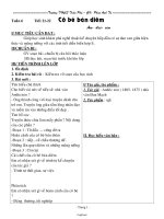 Giáo án Tự nhiên xã hội Lớp 3 - Tuần 25 - Năm học 2006-2007 - Trần Thị Thanh Hà