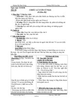 Giáo án Ngữ văn 8 - Tiết 30: Chiếc lá cuối cùng (Tiếp theo) - Năm học 2006-2007 - Dương Thị Thảo Trang