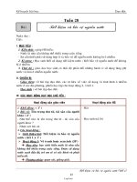 Giáo án môn Toán lớp 7 - Tiết 11: Tính chất của dãy tỉ số bằng nhau