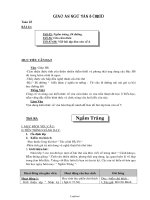 Giáo án Ngữ văn 8 - Tuần 22 - Năm học 2009-2010 - Nguyễn Văn Thanh