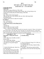 Giáo án Ngữ Văn Lớp 6 - Tiết 65: Thầy thuốc giỏi cốt nhất ở tấm lòng (Truyện trung đại) của Hồ Nguyên Trừng