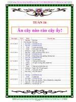 Giáo án lớp 3 - Tuần 16 - Trường tiểu học Hoài Phú