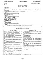 Giáo án môn Sinh học 7 tiết 15: Giun đất