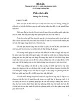 Đề tài Phương trình vô tỉ - Cách giải phương trình vô tỉ trong trường thcs