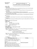 Bài 12. Một số giun dẹp khác và đặc điểm chung của ngành Giun dẹp