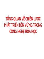 TỔNG QUAN về CHIẾN lược PTBV TRONG CÔNG NGHỆ hóa học (PHÁT TRIỂN bền VỮNG SLIDE) 