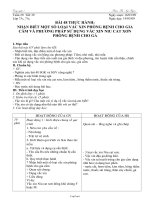 Giáo án môn Công nghệ 7 tiết 39: Thực hành nhận biết một số loại vắc xin phòng bệnh cho gia cầm và phương pháp sử dụng vắc xin Niu Cat Xơn phòng bệnh cho gà
