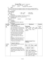 Giáo án môn Tiếng Anh 11 - Unit 15 Lesson: Language Focus - grammar - Period 127: Preparation