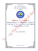 Đánh giá năng lực cạnh tranh của Công ty cổ phần đầu tư địa ốc Thắng Lợi Miền Trung với thuyết năng lực động