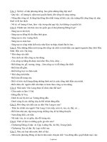 Bài giảng Môn Lịch sử 6 - Câu hỏi ôn tập học kì I