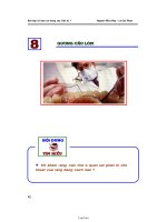 Bài tập cơ bản và nâng cao Vật lý 7 - 08: Gương cầu lõm