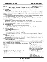 Giáo án Công nghệ 7 tiết 20, 21, 22