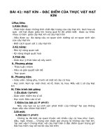 Bài 41. Hạt kín - Đặc điểm của thực vật Hạt kín