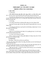 bdtx modun 40 ninh hoàng thị thanh huyền website của trường thcs tiền an