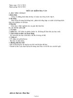 Giáo án Ngữ văn 8 - Tiết 115: Kiểm tra văn - Năm học 2010-2011