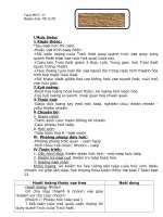 địa 6 ôn tập học kì 1 giáo án khác lê xuân long thư viện giáo án điện tử