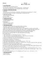 Giáo án Hoạt động giáo dục ngoài giờ lên lớp - Tuần 16: Hội vui học tập