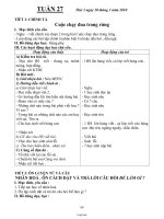 Giáo án Buổi 02 - Tuần 27 Lớp 3