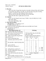 Giáo án dạy Lớp 3 Tuần 33 (32)