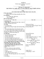 Giáo án tổng hợp lớp 3 - Tuần thứ 13 năm học 2011