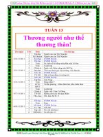 Giáo án lớp 3 - Tuần 13 - Trường tiểu học Hoài Phú