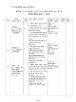 Giáo án Kế hoạch giảng dạy tự chọn Vật lí Lớp 8 - Năm học 2010-2011 - Trường THCS Bạch Đích