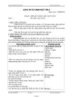 Giáo án Tự chọn môn Ngữ văn 6 - Trường: THCS Hồ Tông Thốc