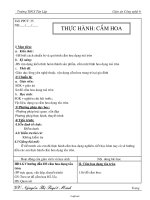 Giáo án Công nghệ 6 - Tiết 35: Thực hành Cắm hoa - Nguyễn Thị Tuyết Minh